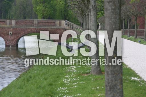 Graureiher-A 244.jpg